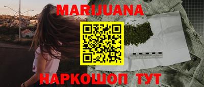 стаф Дубна