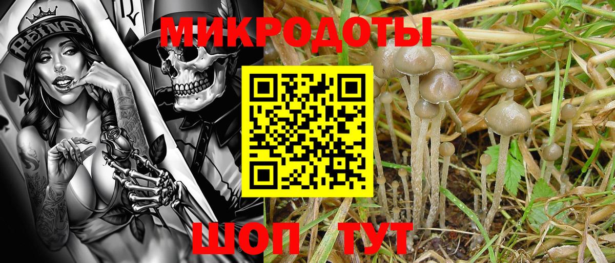 купить наркотик  Псилоцибиновые грибы мухоморы  Вход с VPN  Ивантеевка 